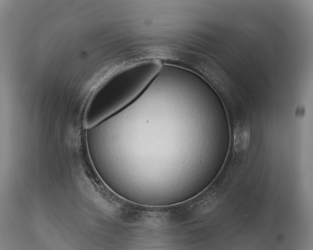 X0000111460436200907201116