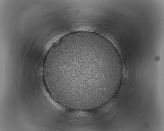 X0000111460437200907201116