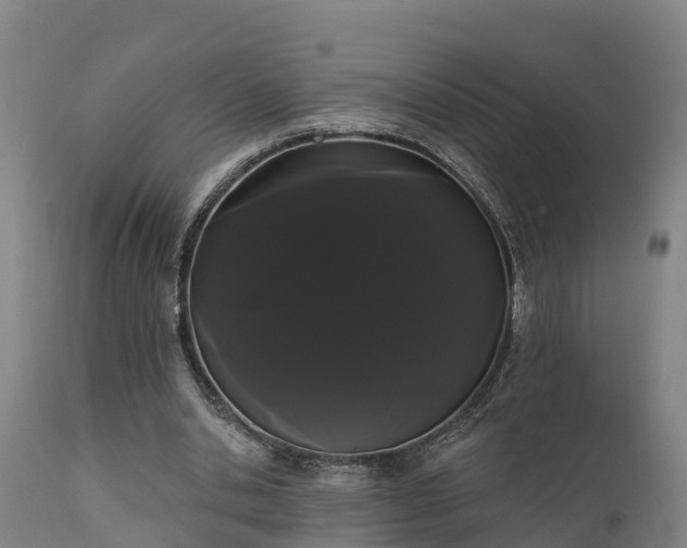 X0000111460438200907201116