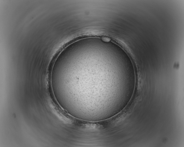 X0000111460439200907201116