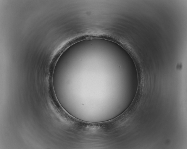 X0000111460440200907201116