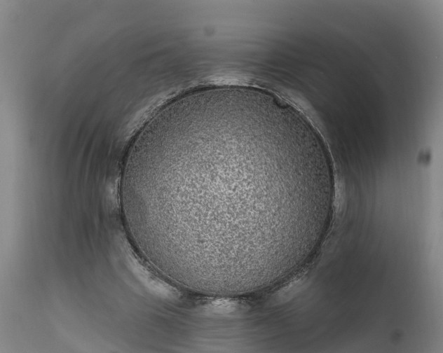 X0000111460441200907201116