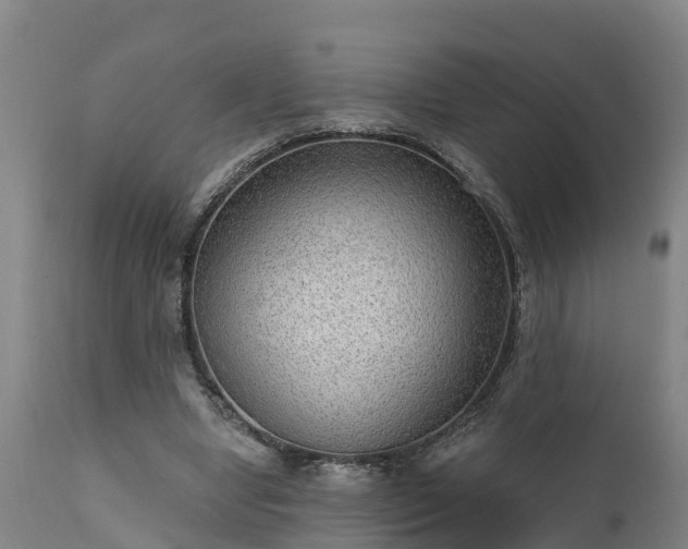 X0000111460442200907201116