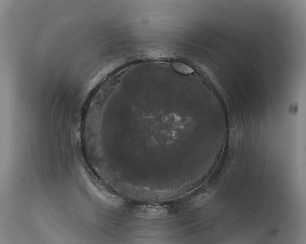 X0000111460443200907201116