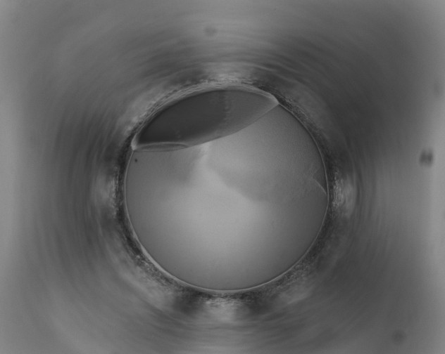 X0000111460444200907201116