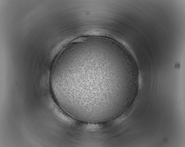 X0000111460445200907201116