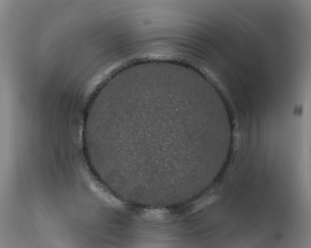 X0000111460446200907201117