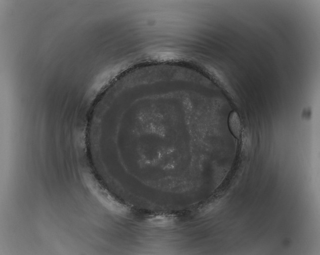 X0000111460447200907201117