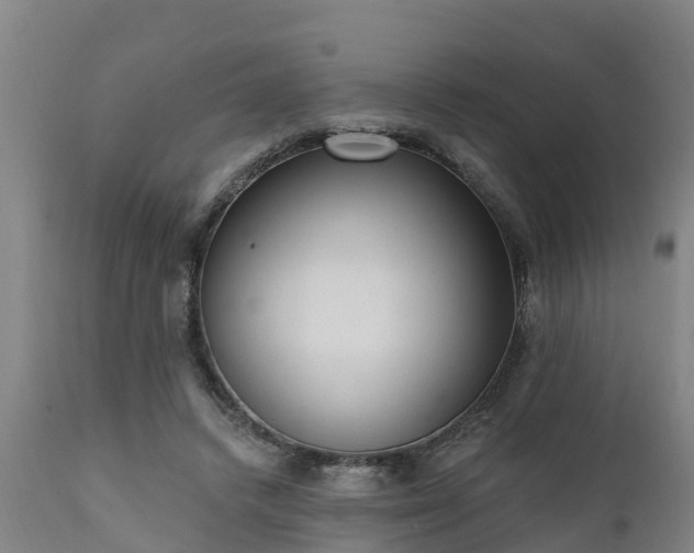 X0000111460448200907201117