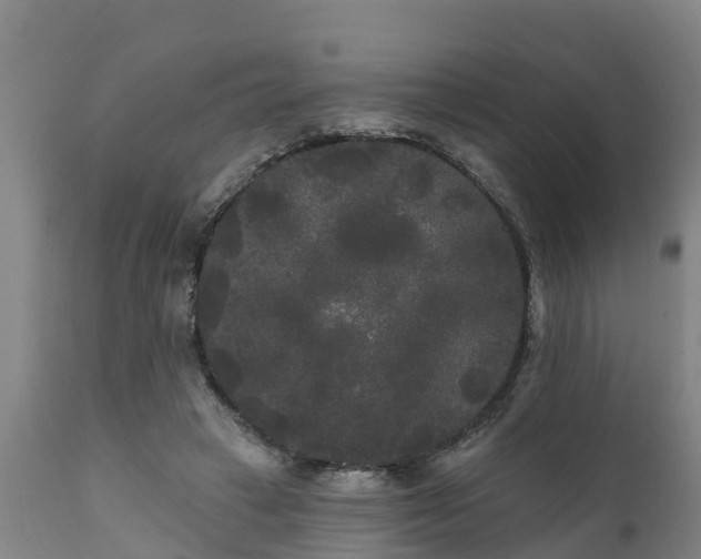 X0000111460449200907201117