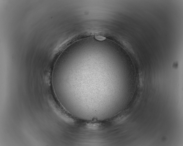 X0000111460450200907201117