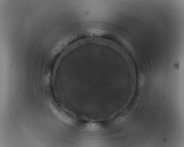 X0000111460451200907201117