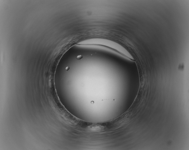 X0000111460452200907201117