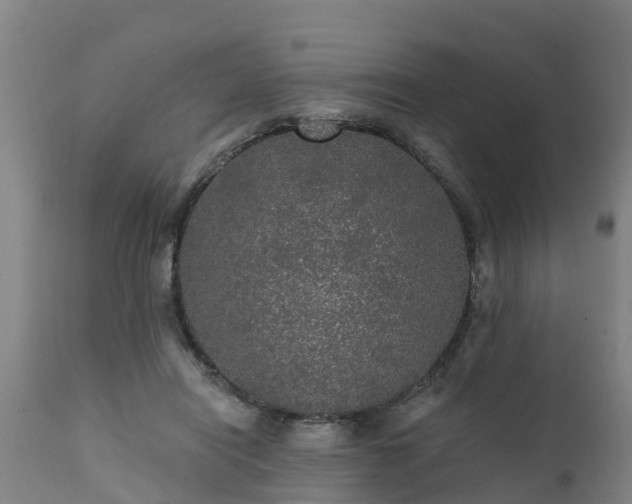 X0000111460454200907201117