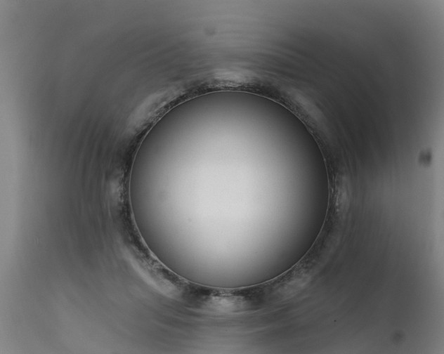 X0000111460455200907201117