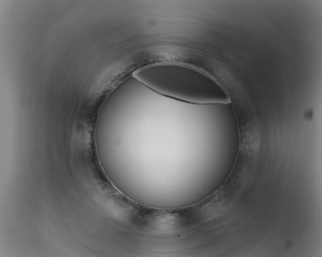 X0000111460456200907201117