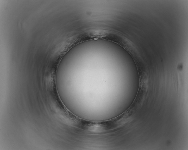 X0000111460460200907201117