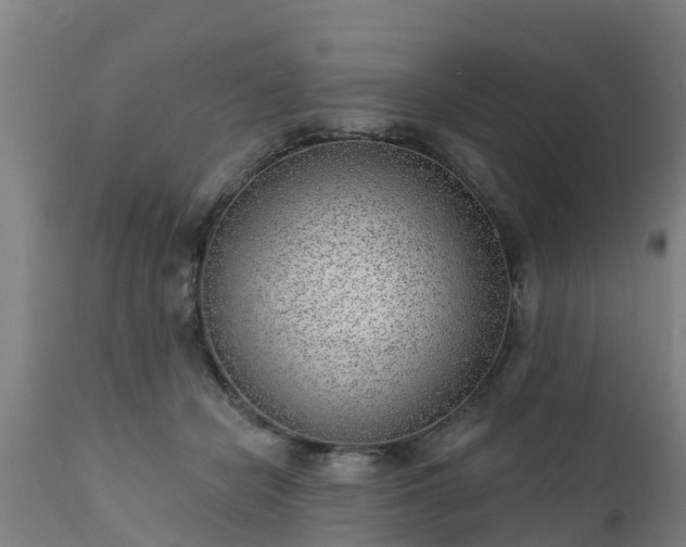 X0000111460462200907201117