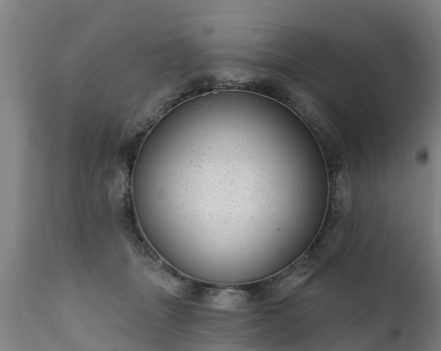 X0000111460463200907201117