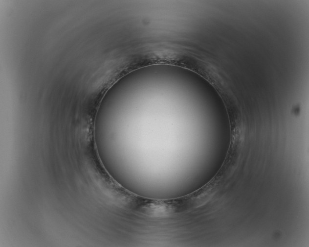 X0000111460464200907201117