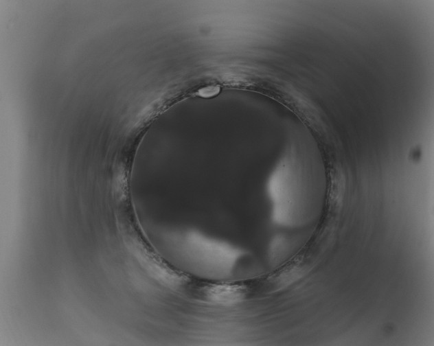 X0000111460465200907201117