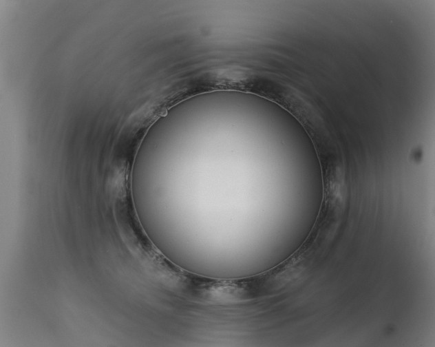 X0000111460468200907201117