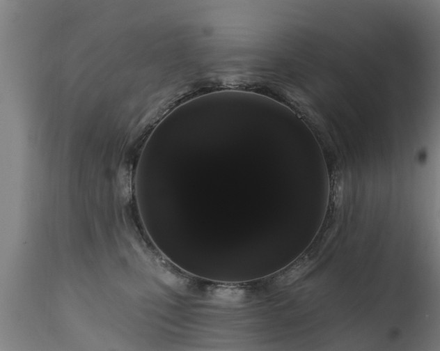 X0000111460471200907201117