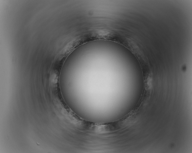 X0000111460472200907201117