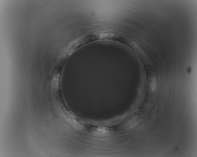 X0000111460475200907201117