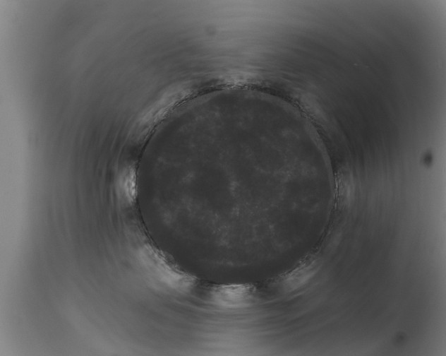 X0000111460479200907201117