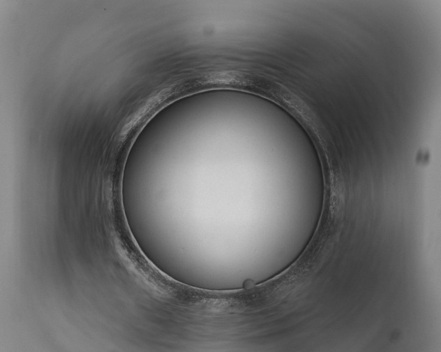 X0000111460482200907201116