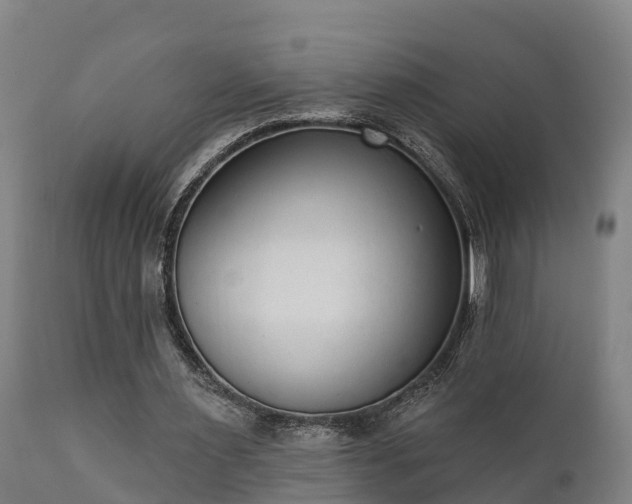 X0000111460483200907201116