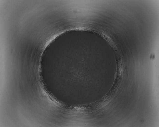 X0000111460484200907201116