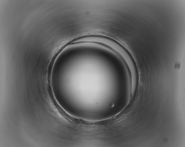 X0000111460485200907201116