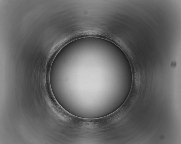 X0000111460486200907201116