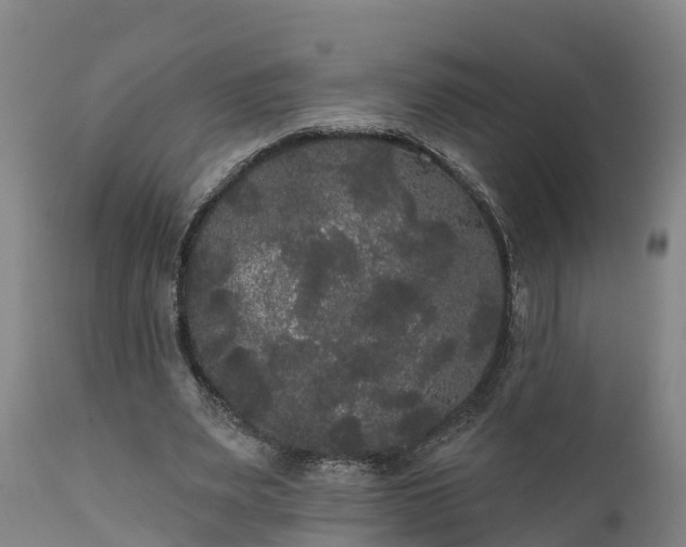 X0000111460487200907201116