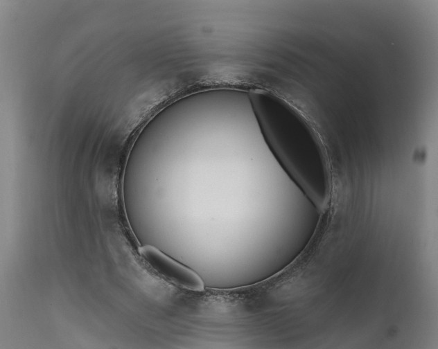 X0000111460489200907201116