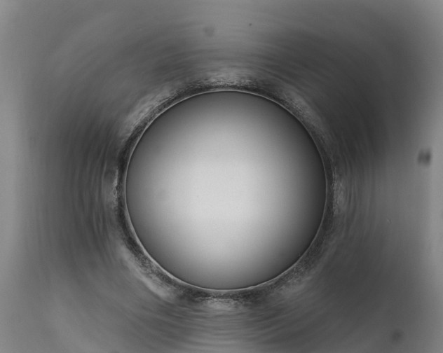 X0000111460490200907201116