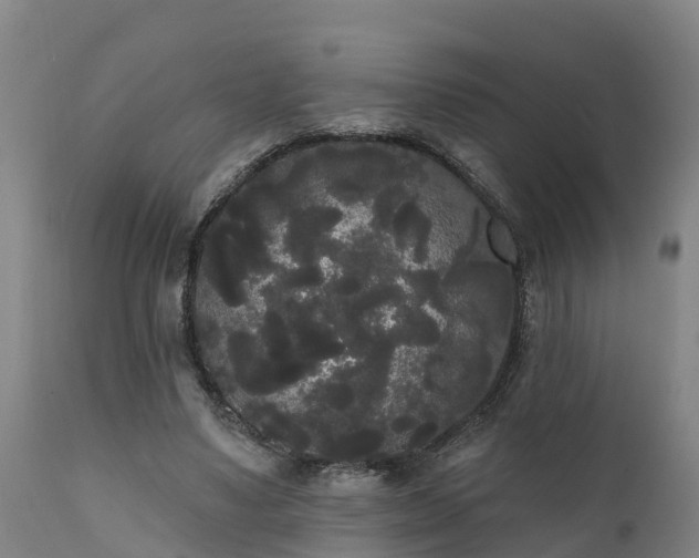 X0000111460491200907201116