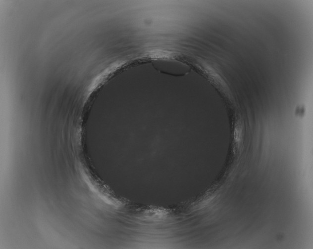 X0000111460492200907201116