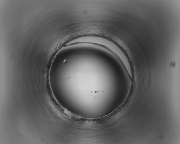 X0000111460493200907201116