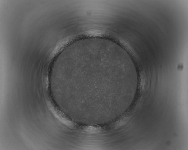 X0000111460494200907201116