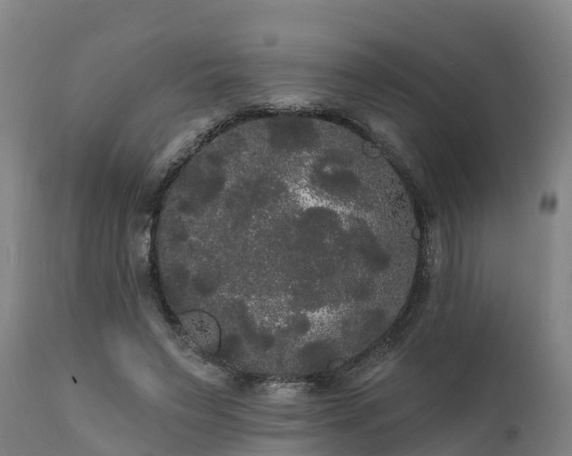 X0000111460495200907201116