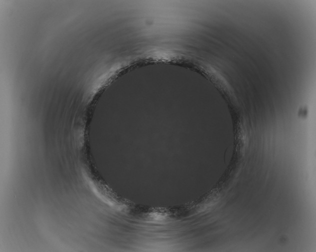 X0000111460496200907201116