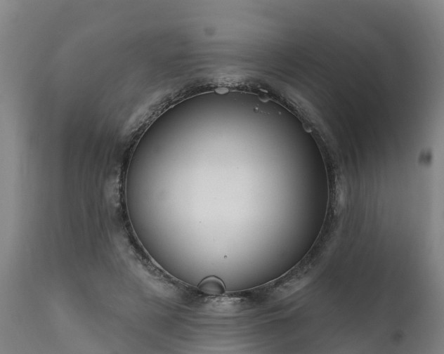 X0000111460497200907201116