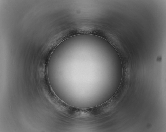 X0000111460498200907201116