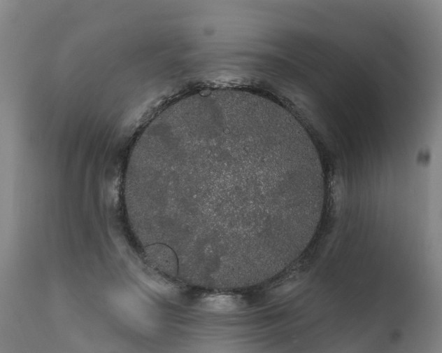 X0000111460499200907201116