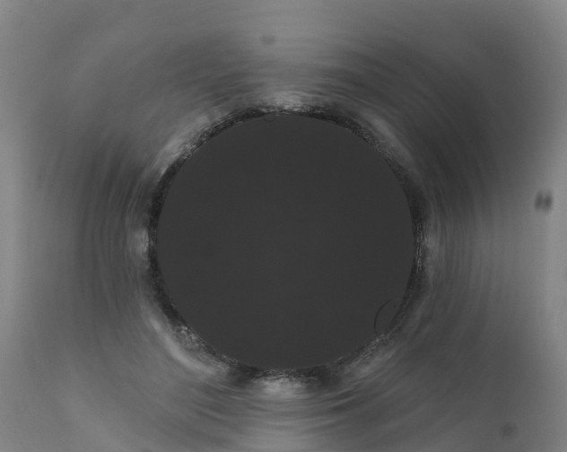 X0000111460500200907201116