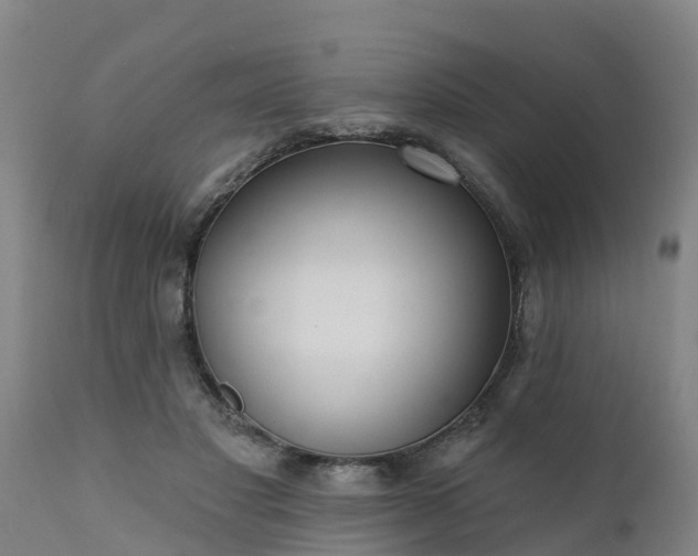 X0000111460501200907201116