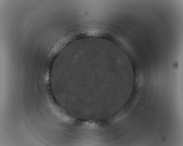 X0000111460502200907201116